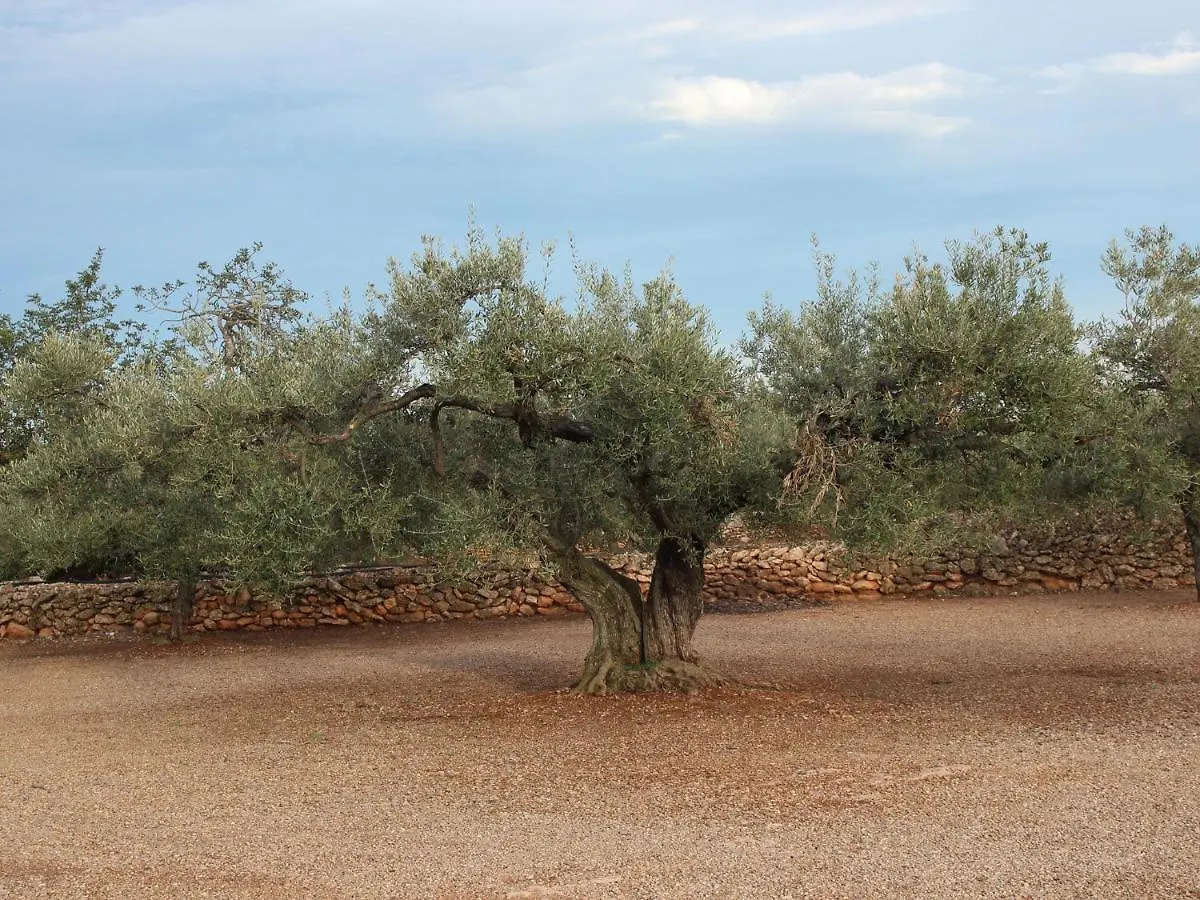 Belvilla By Oyo Finca Casa Filou L'Ampolla 0*,